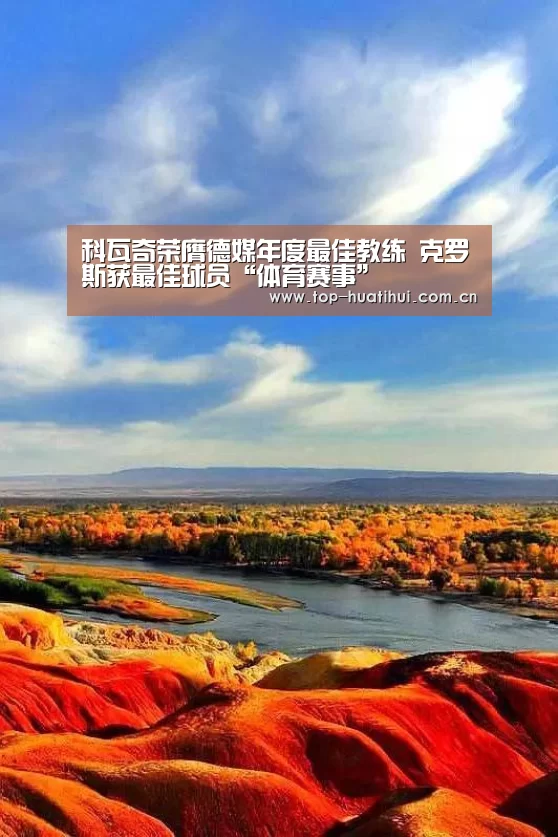 体育赛事
